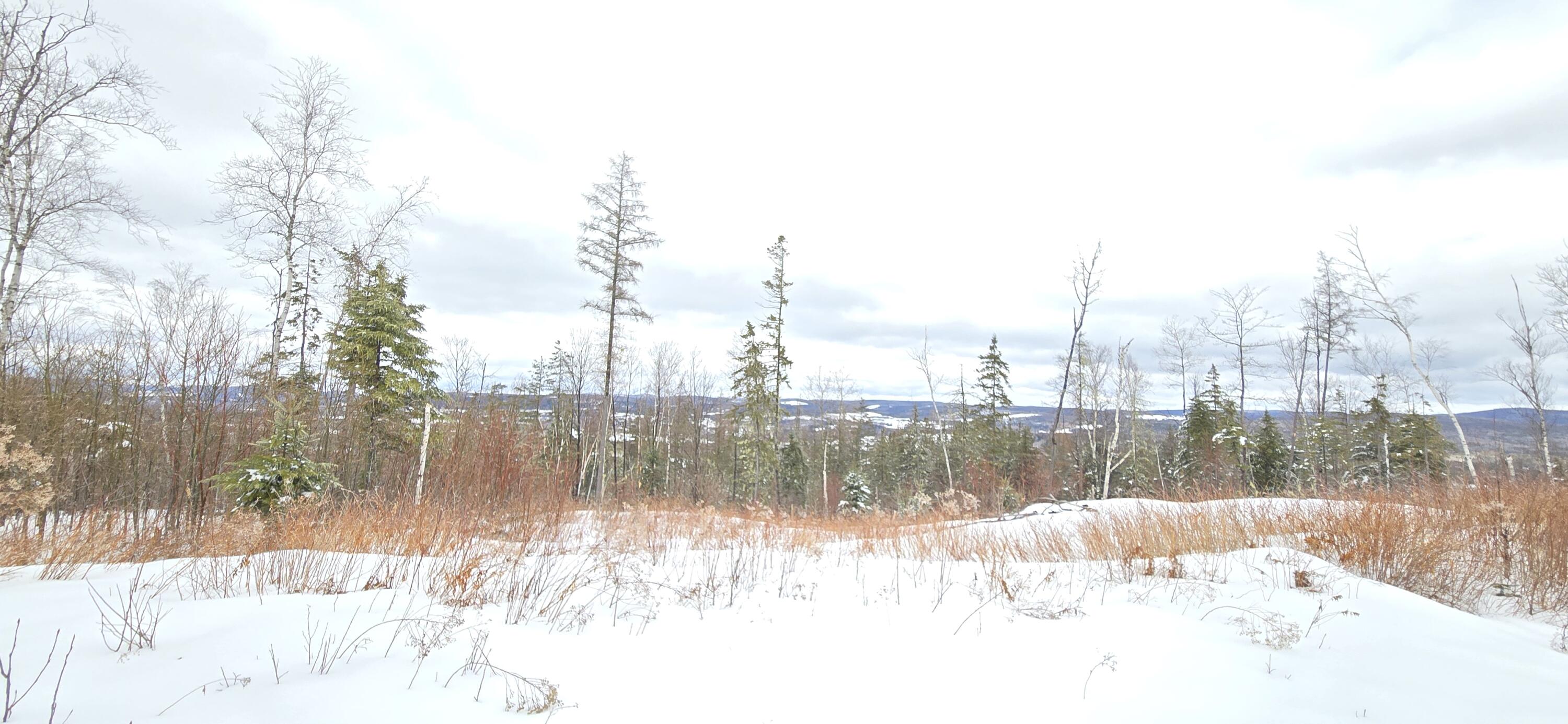 Map31 Map31 Lot12 St. David, ME 04773 - Photo 10 of 35 20260404_142320