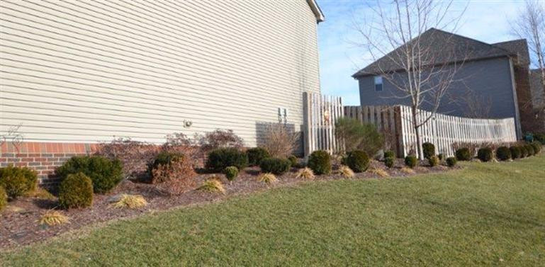 4316 Rivard Lane Lexington, KY 40509 - Photo 8 of 37 Extensive landscaping