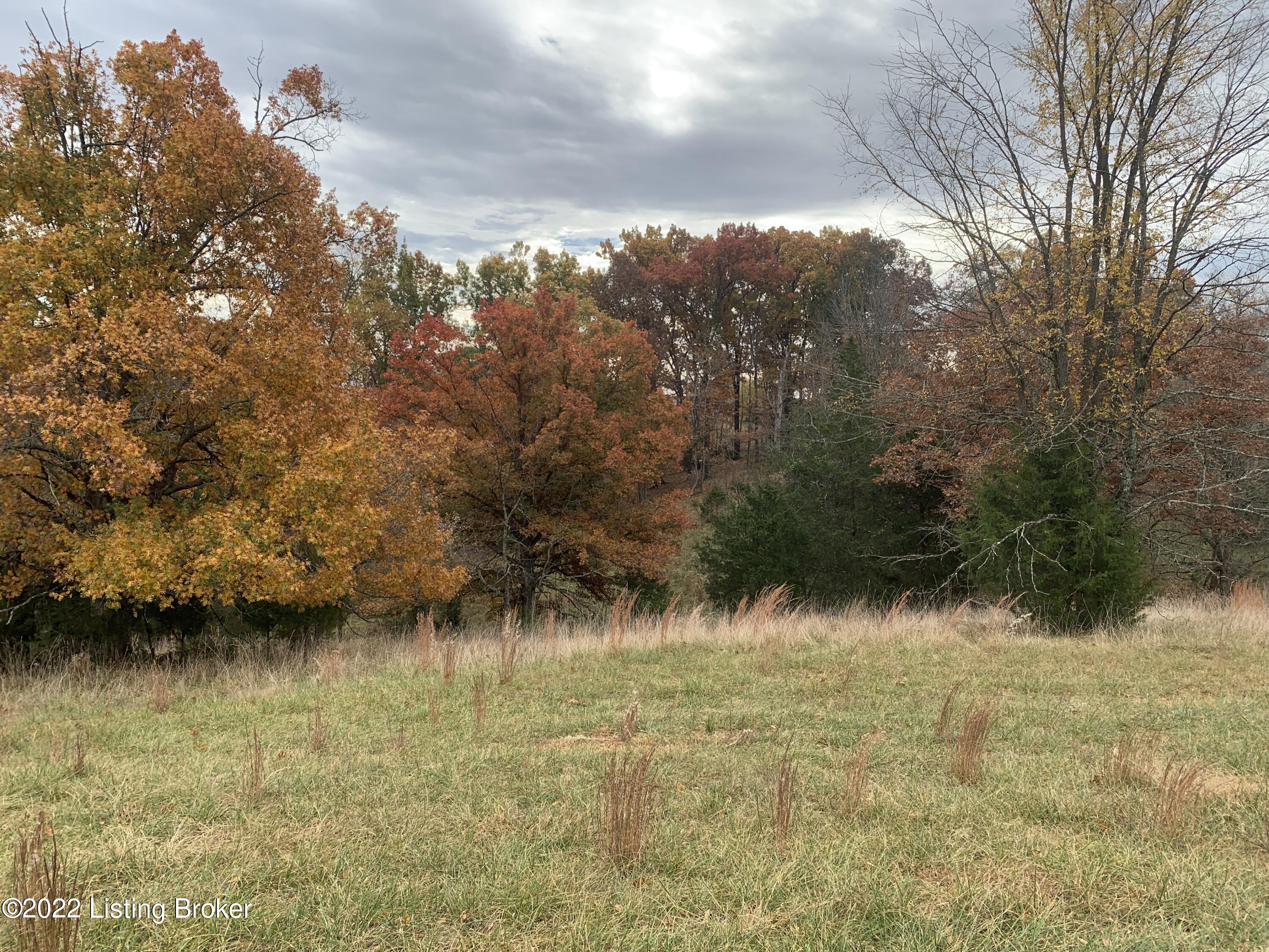 880-4 Solitude Road Coxs Creek, KY 40013 - Photo 1 of 1 Main