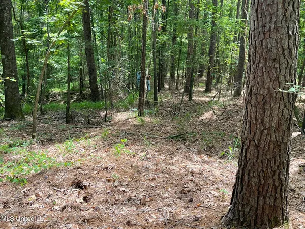 $249,000 | 0 Pope Crowder Road, Pope, MS 38658