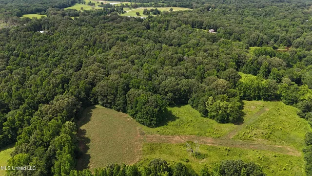 $249,000 | 0 Pope Crowder Road, Pope, MS 38658