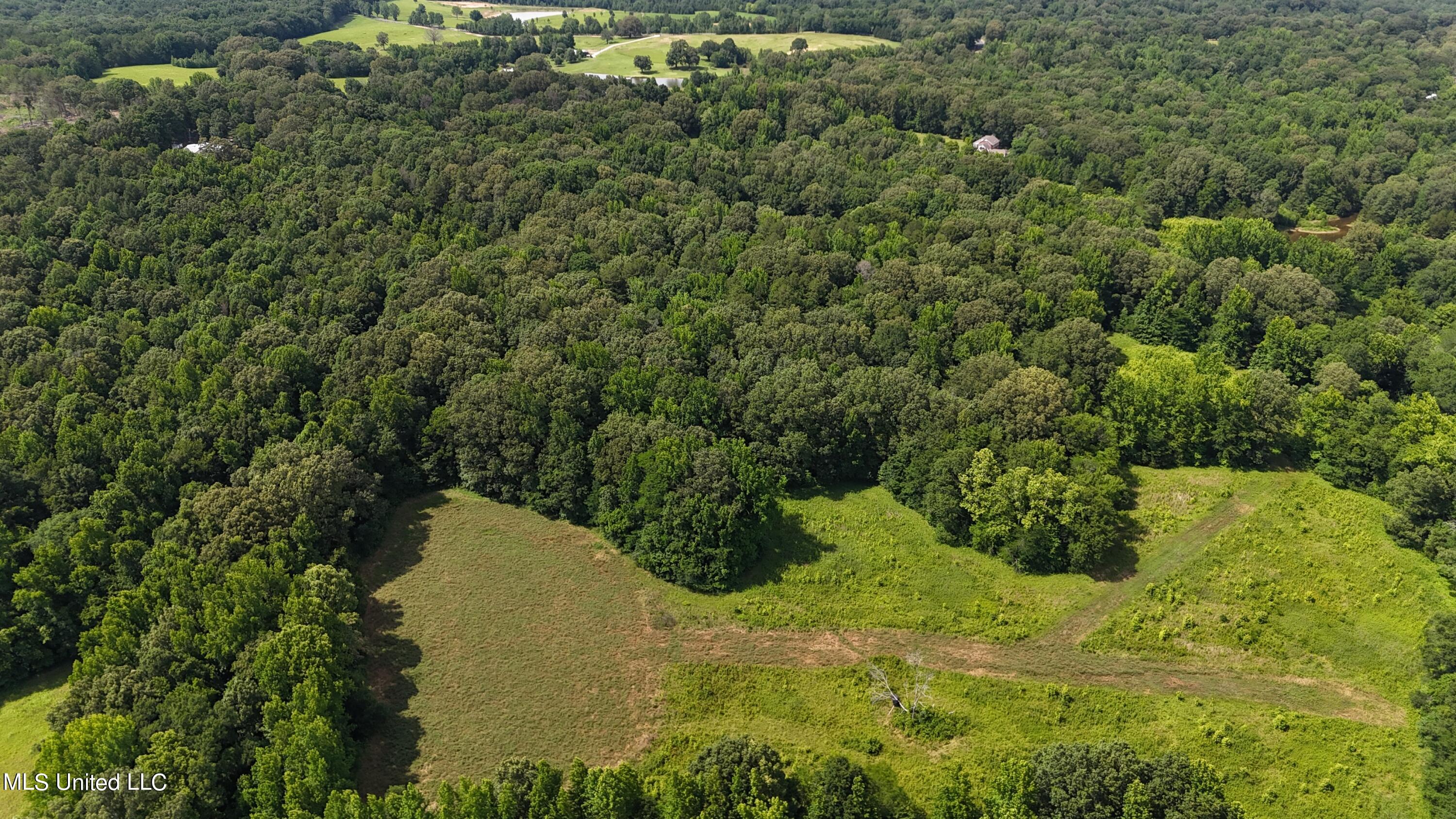 0 Pope Crowder Road Pope, MS 38658 - Photo 11 of 16 dji_fly_20240611_153300_0070_17181379402