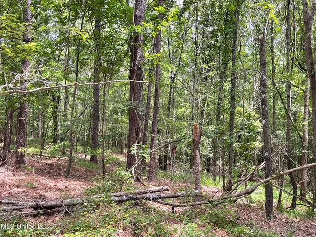 $249,000 | 0 Pope Crowder Road, Pope, MS 38658