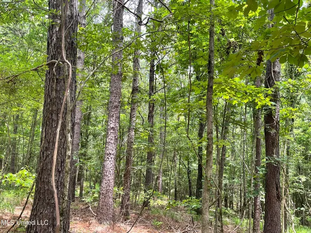 $249,000 | 0 Pope Crowder Road, Pope, MS 38658