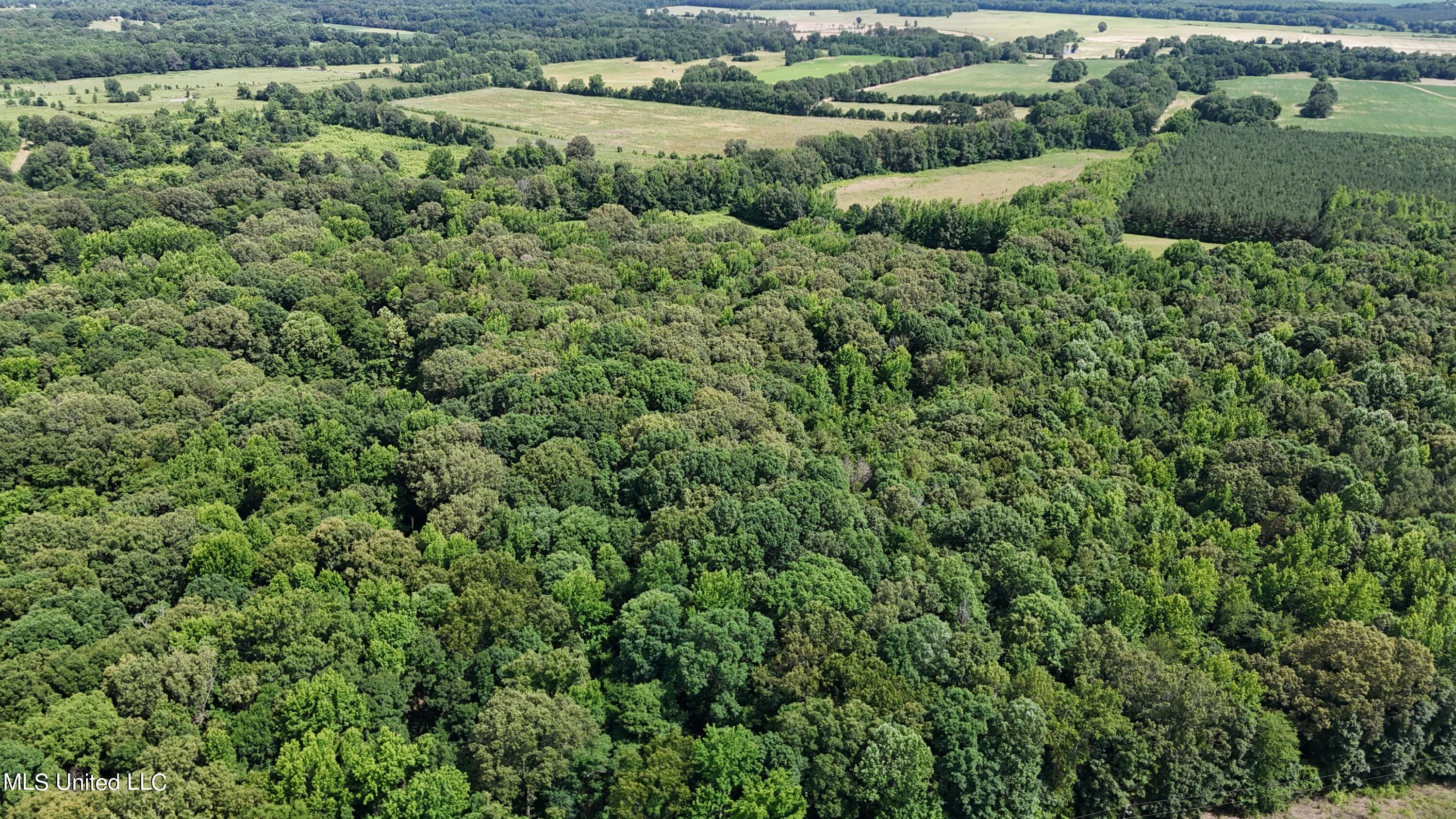 0 Pope Crowder Road Pope, MS 38658 - Photo 15 of 16 dji_fly_20240611_153614_0073_17181379461