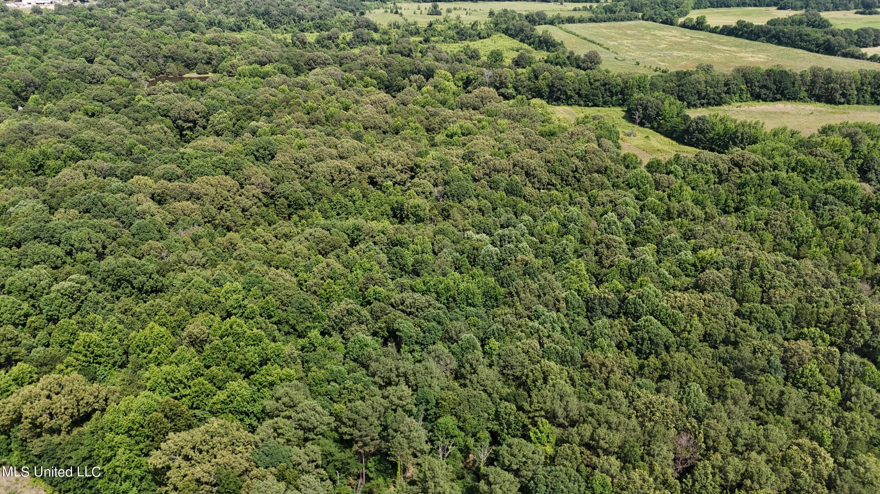0 Pope Crowder Road Pope, MS 38658 - Photo 16 of 16 dji_fly_20240611_153706_0074_17181379484