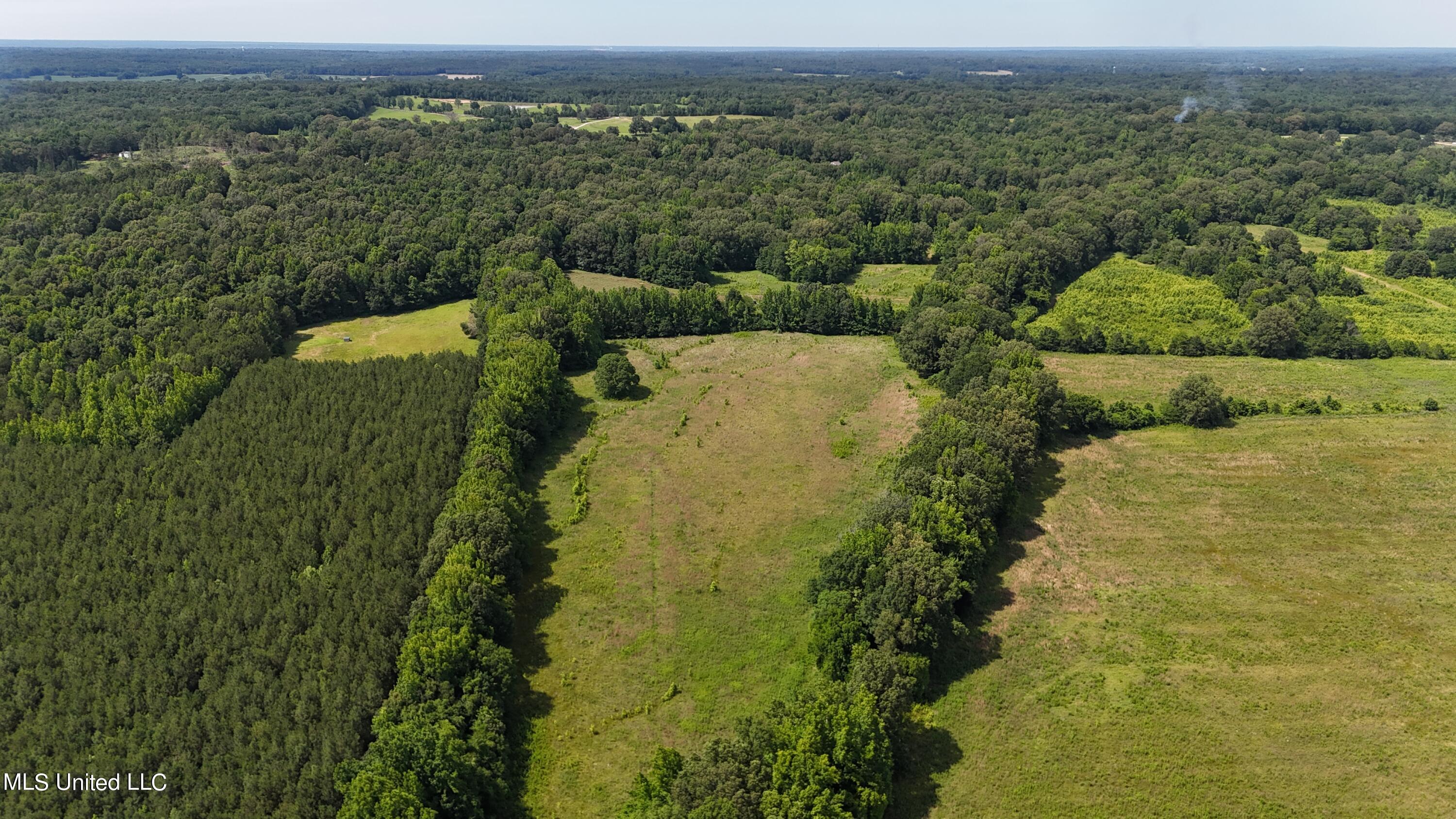 0 Pope Crowder Road Pope, MS 38658 - Photo 2 of 16 dji_fly_20240611_153142_0068_17181379365