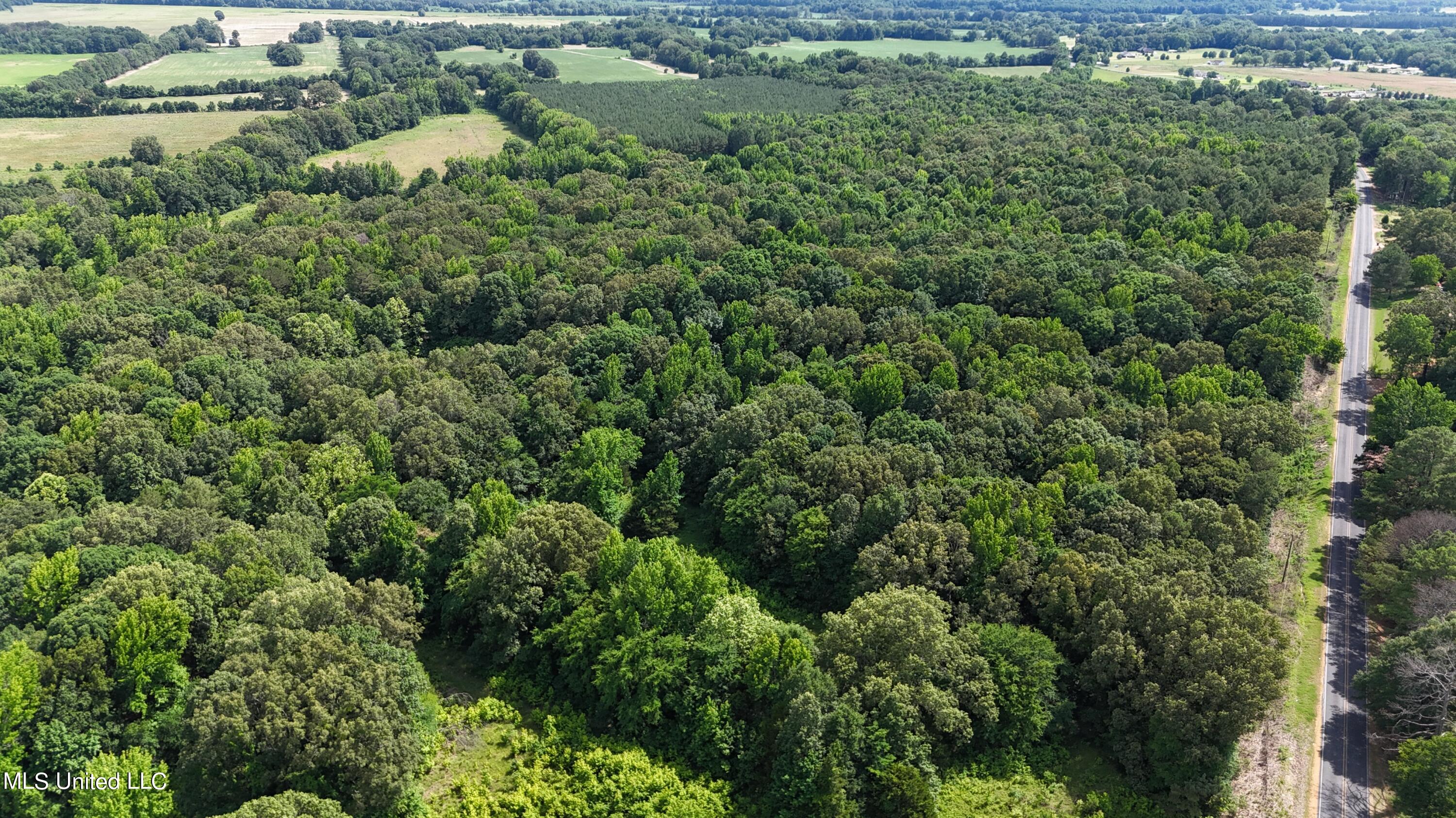 0 Pope Crowder Road Pope, MS 38658 - Photo 3 of 16 dji_fly_20240611_153524_0072_17181379440