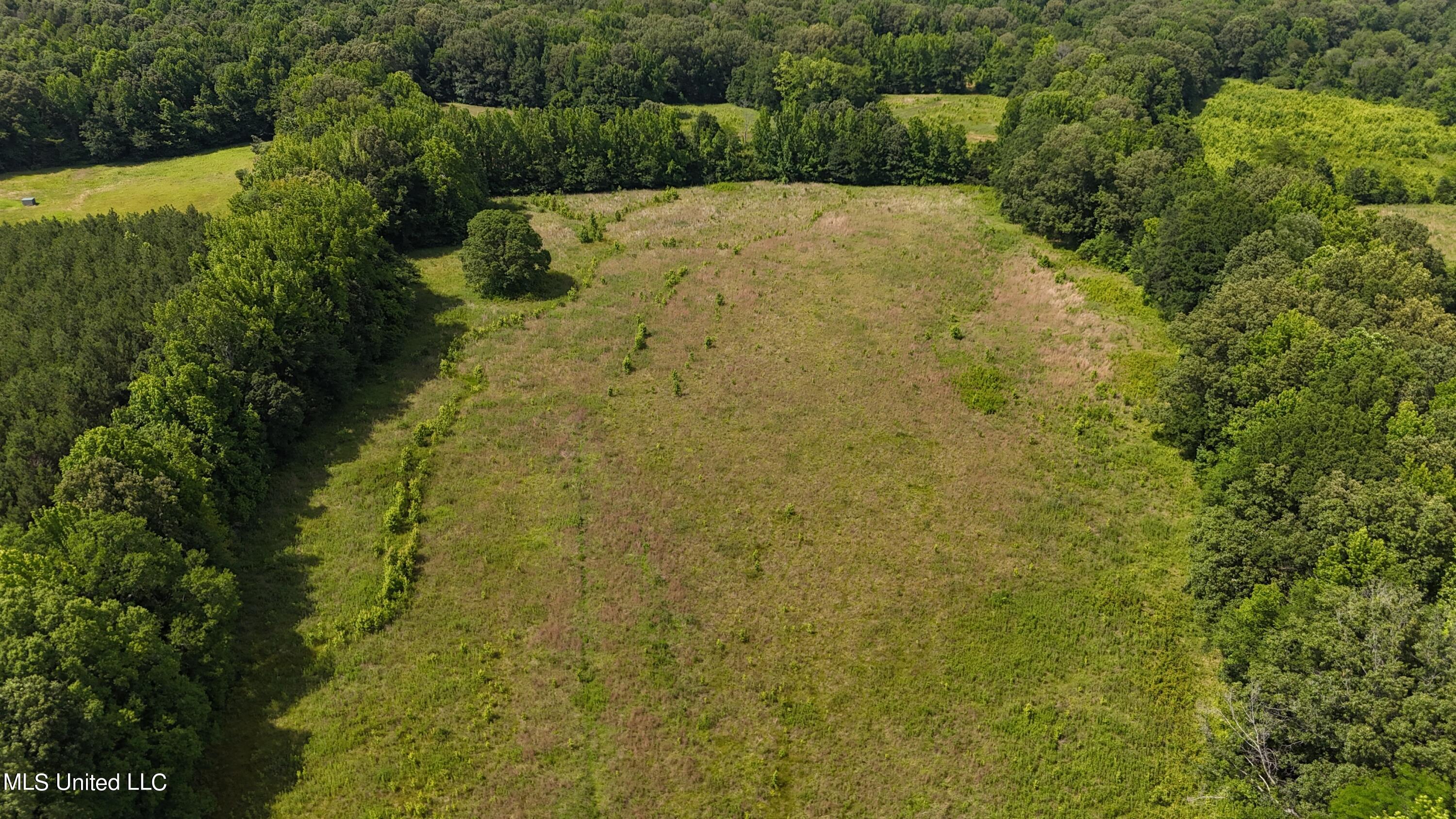 0 Pope Crowder Road Pope, MS 38658 - Photo 5 of 16 dji_fly_20240611_153226_0069_17181379381