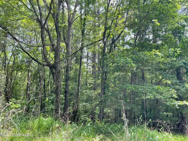 $249,000 | 0 Pope Crowder Road, Pope, MS 38658