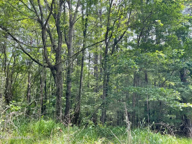 $249,000 | 0 Pope Crowder Road, Pope, MS 38658