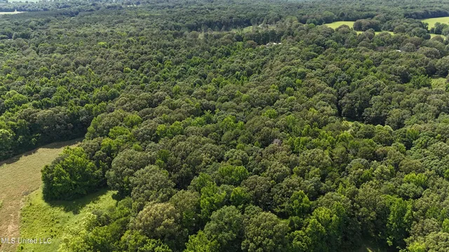 $249,000 | 0 Pope Crowder Road, Pope, MS 38658