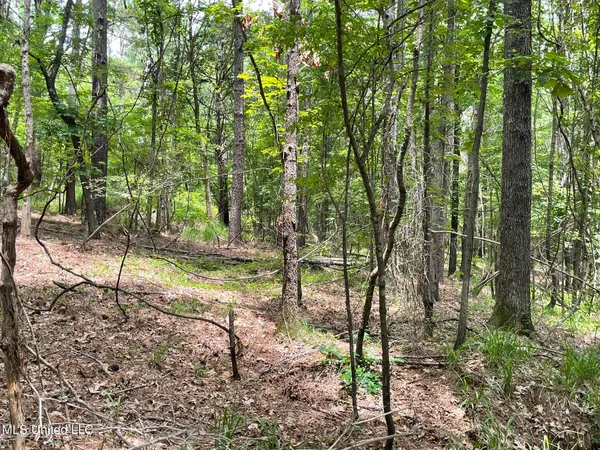 $249,000 | 0 Pope Crowder Road, Pope, MS 38658
