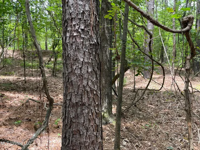 $249,000 | 0 Pope Crowder Road, Pope, MS 38658