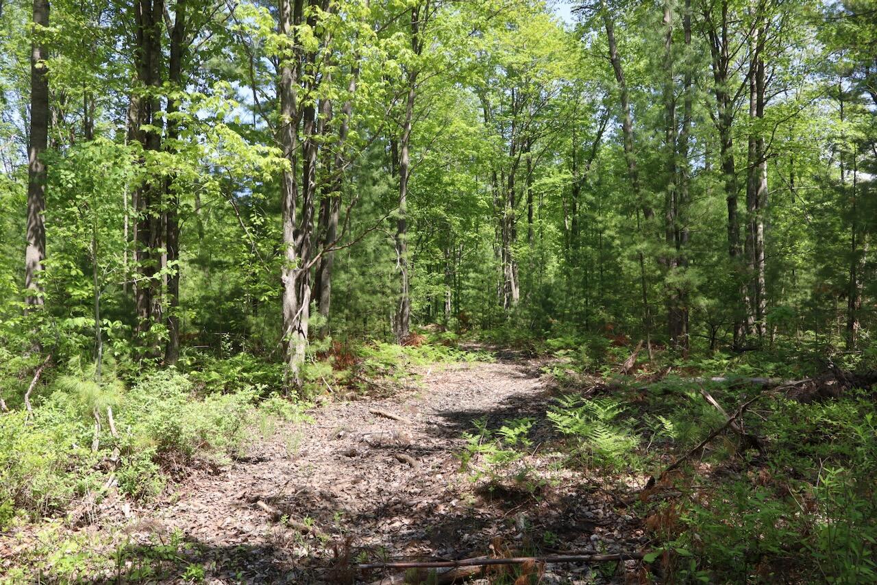0 East Highwood Road Beaverton, MI 48612 - Photo 21 of 67 021
