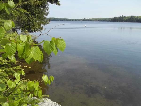 123 West Shore Road Ellsworth, ME 04605 - Photo 1 of 5 Photo