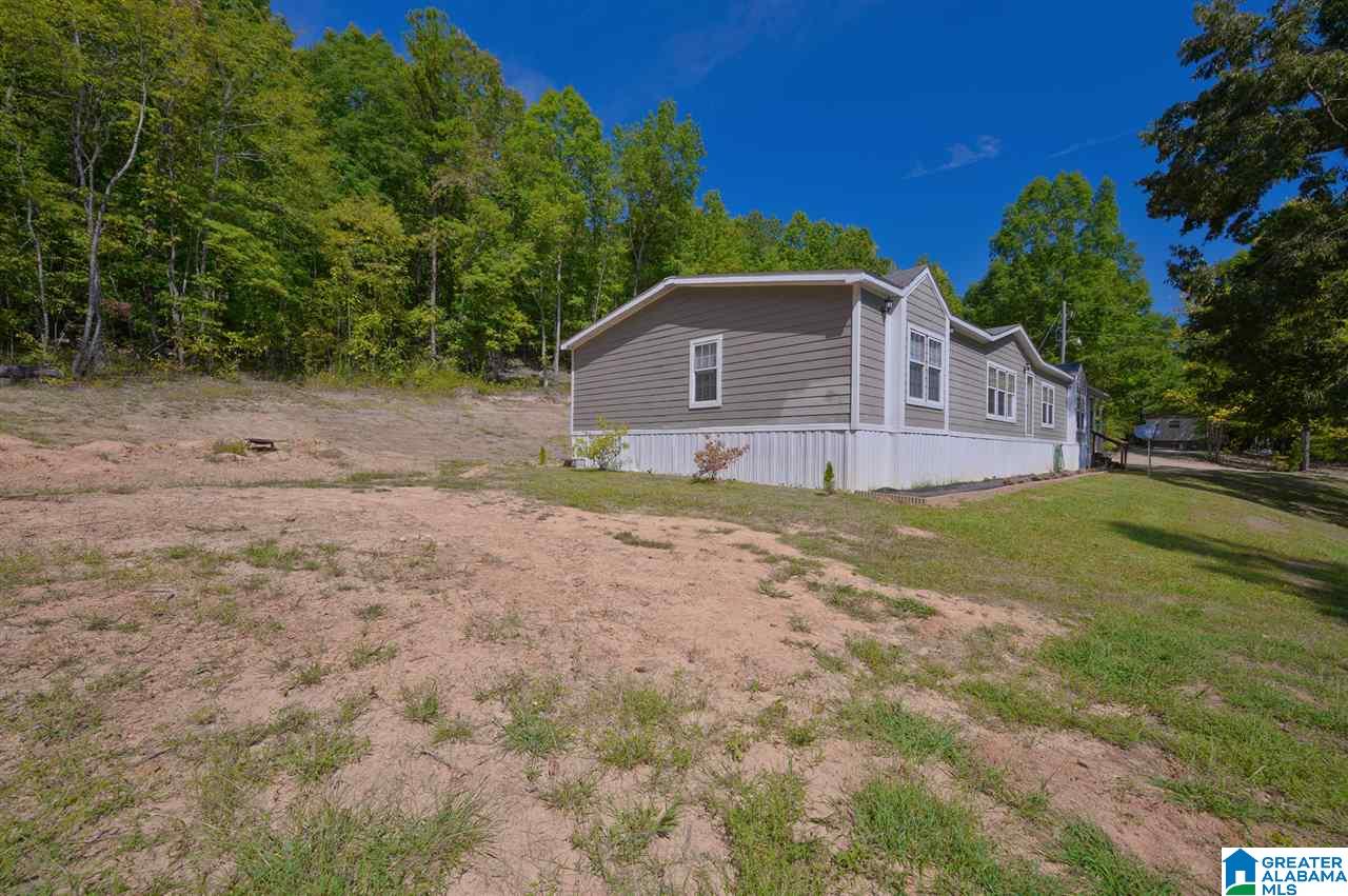 4395 Sand Valley Road Remlap, AL 35133 - Photo 3 of 24