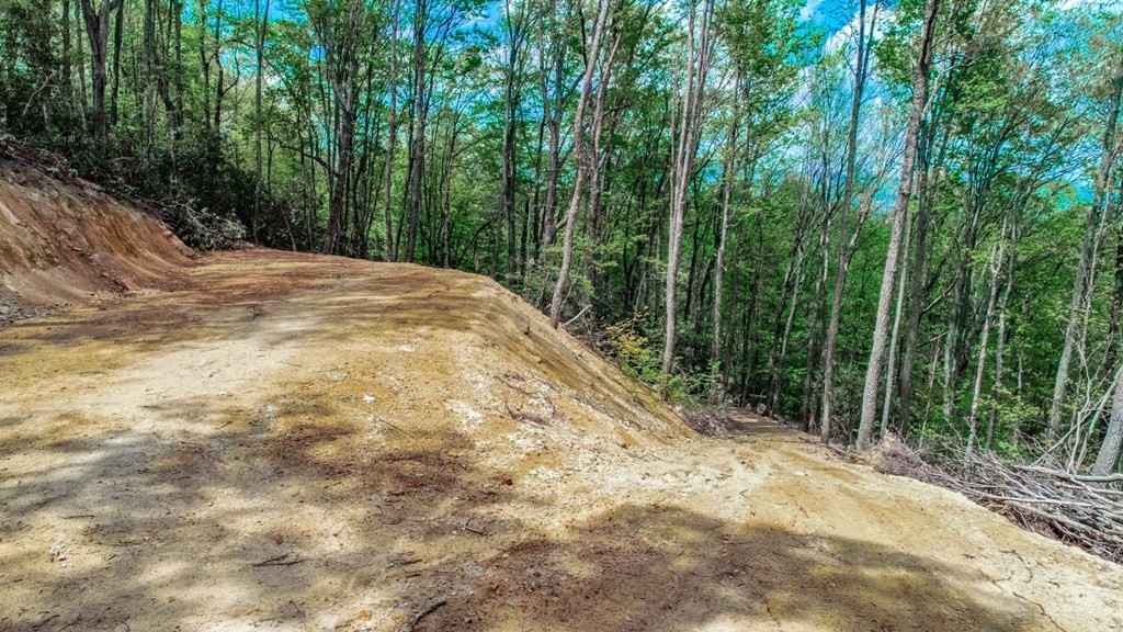 2 Rocky Ridge Road Cosby, TN 37722 - Photo 12 of 28 Gallery Image 12