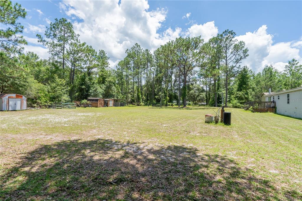 7392 Northeast 192nd Place Citra, FL 32113 - Photo 34 of 46