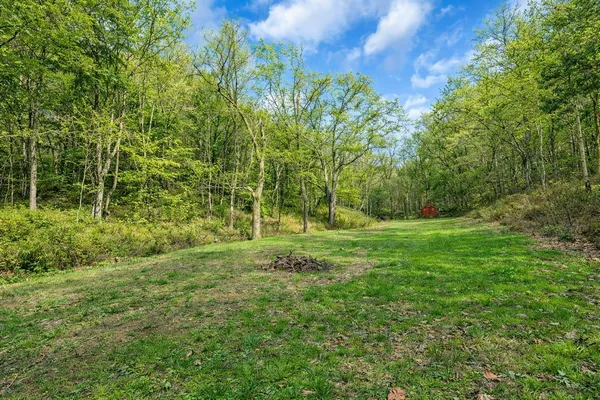 a view of backyard with green space