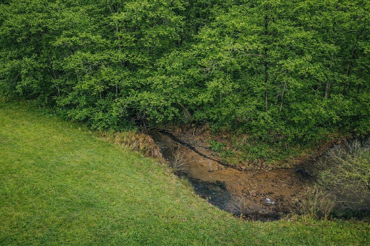 1783 Agnew Road Pulaski, TN 38478 - Photo 12 of 41