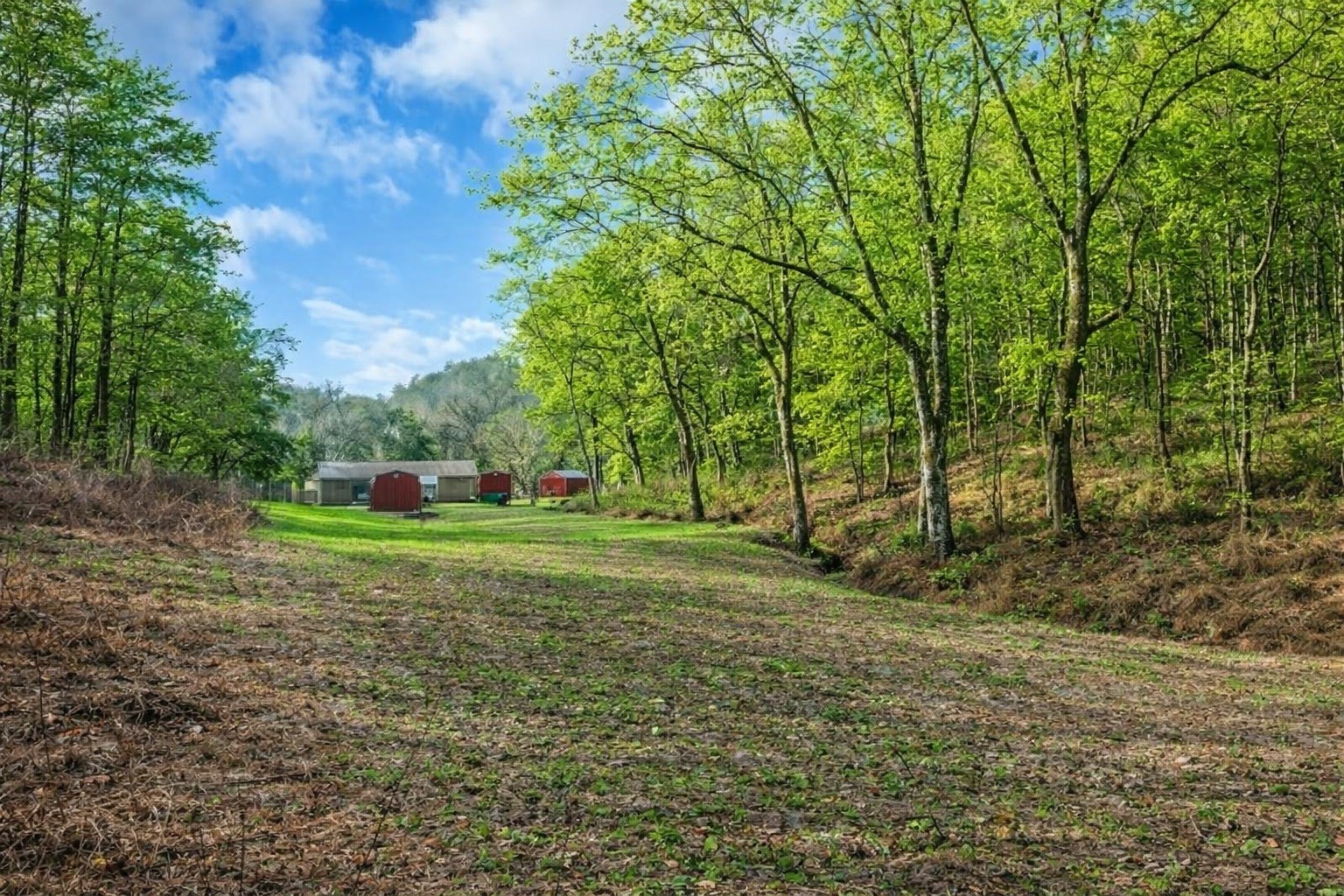 1783 Agnew Road Pulaski, TN 38478 - Photo 13 of 41