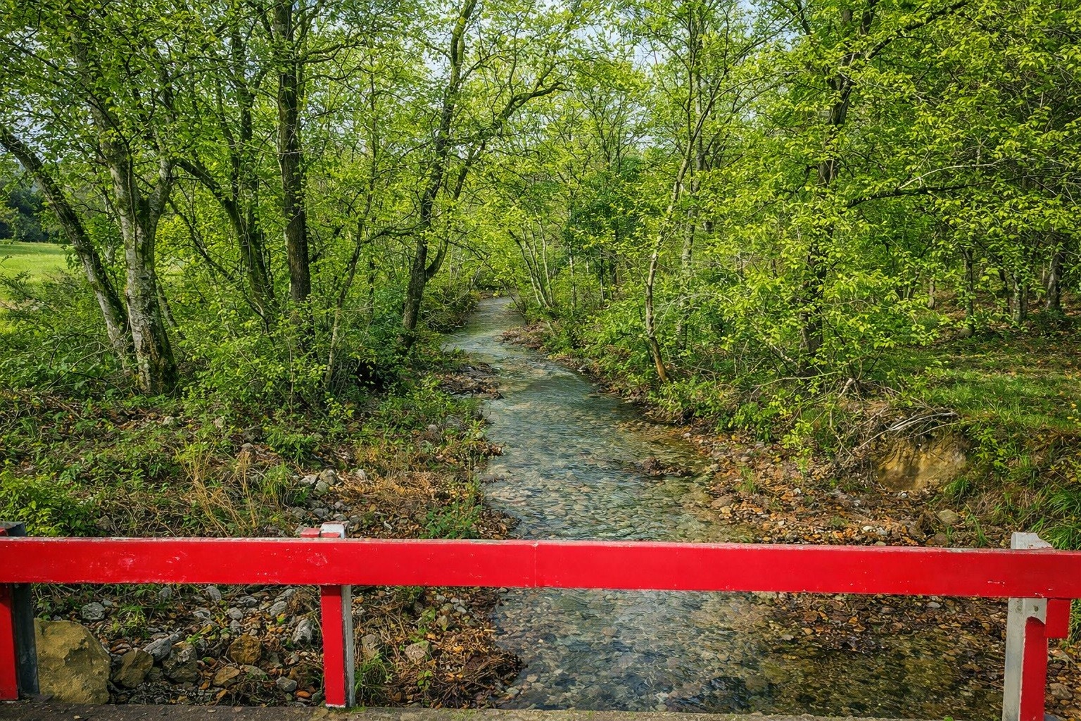 1783 Agnew Road Pulaski, TN 38478 - Photo 3 of 41