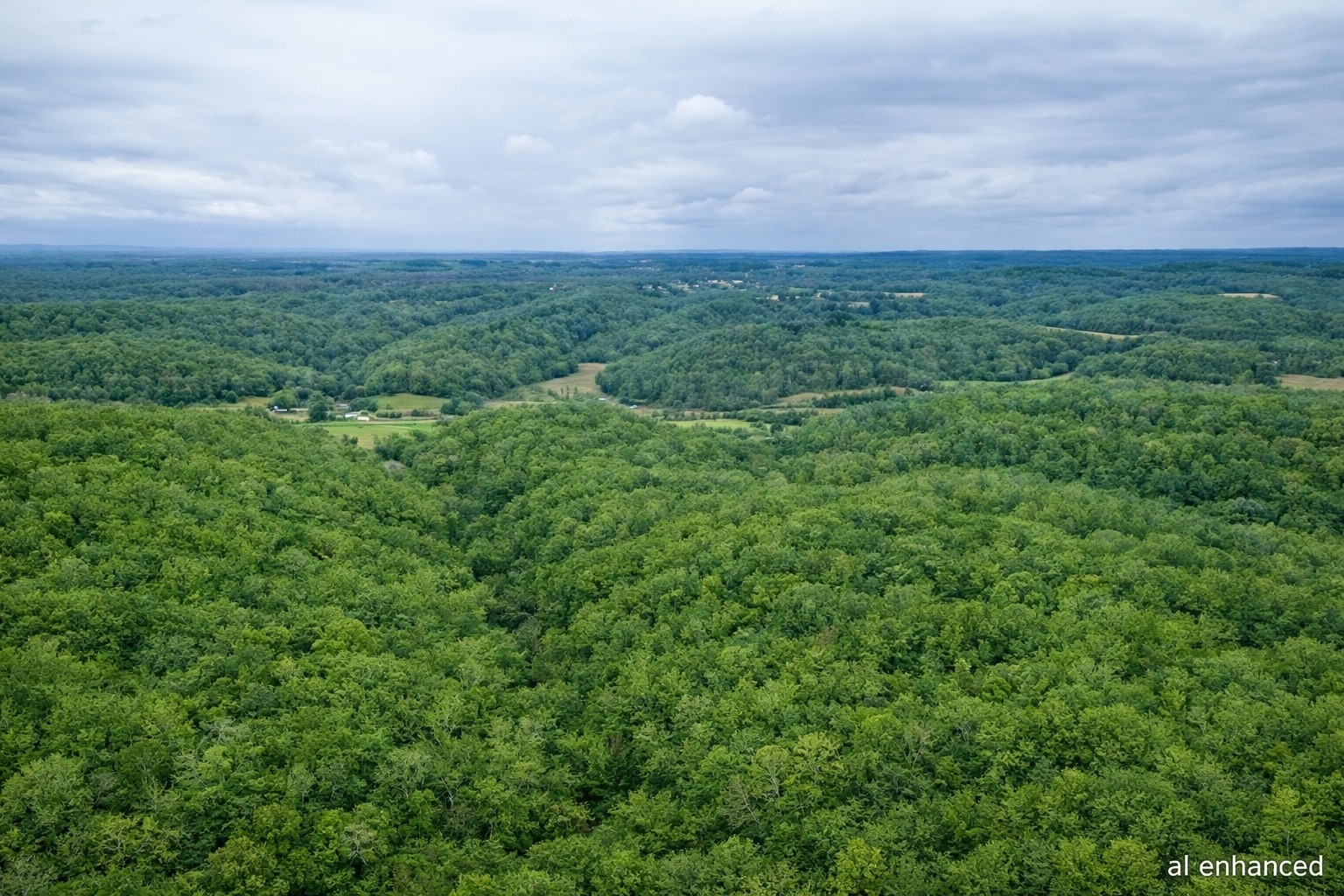 1783 Agnew Road Pulaski, TN 38478 - Photo 40 of 41