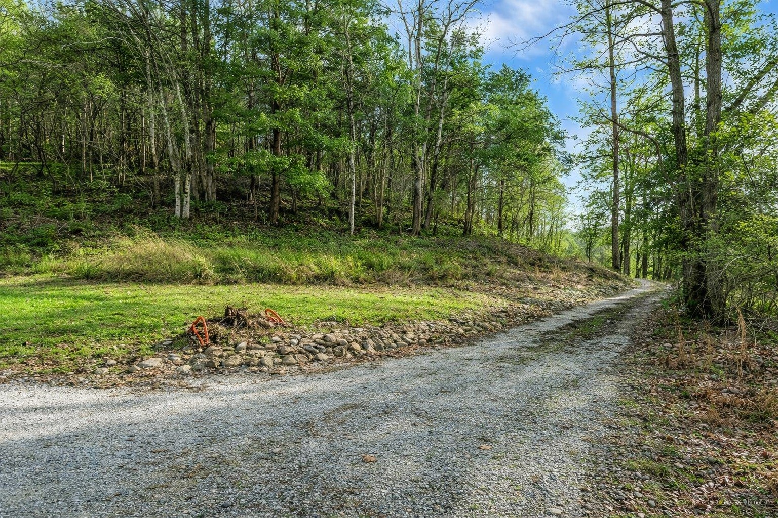 1783 Agnew Road Pulaski, TN 38478 - Photo 6 of 41