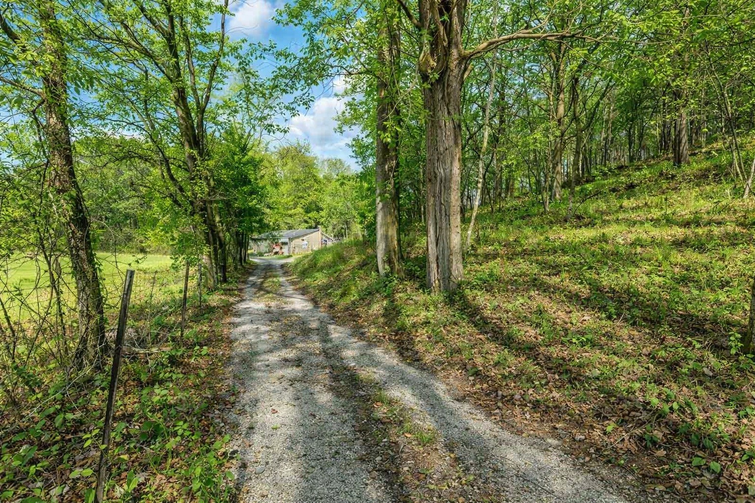 1783 Agnew Road Pulaski, TN 38478 - Photo 7 of 41