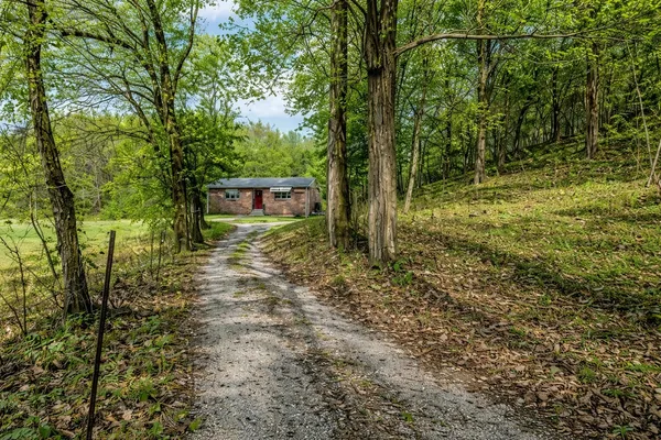 a view of backyard with wooden fence