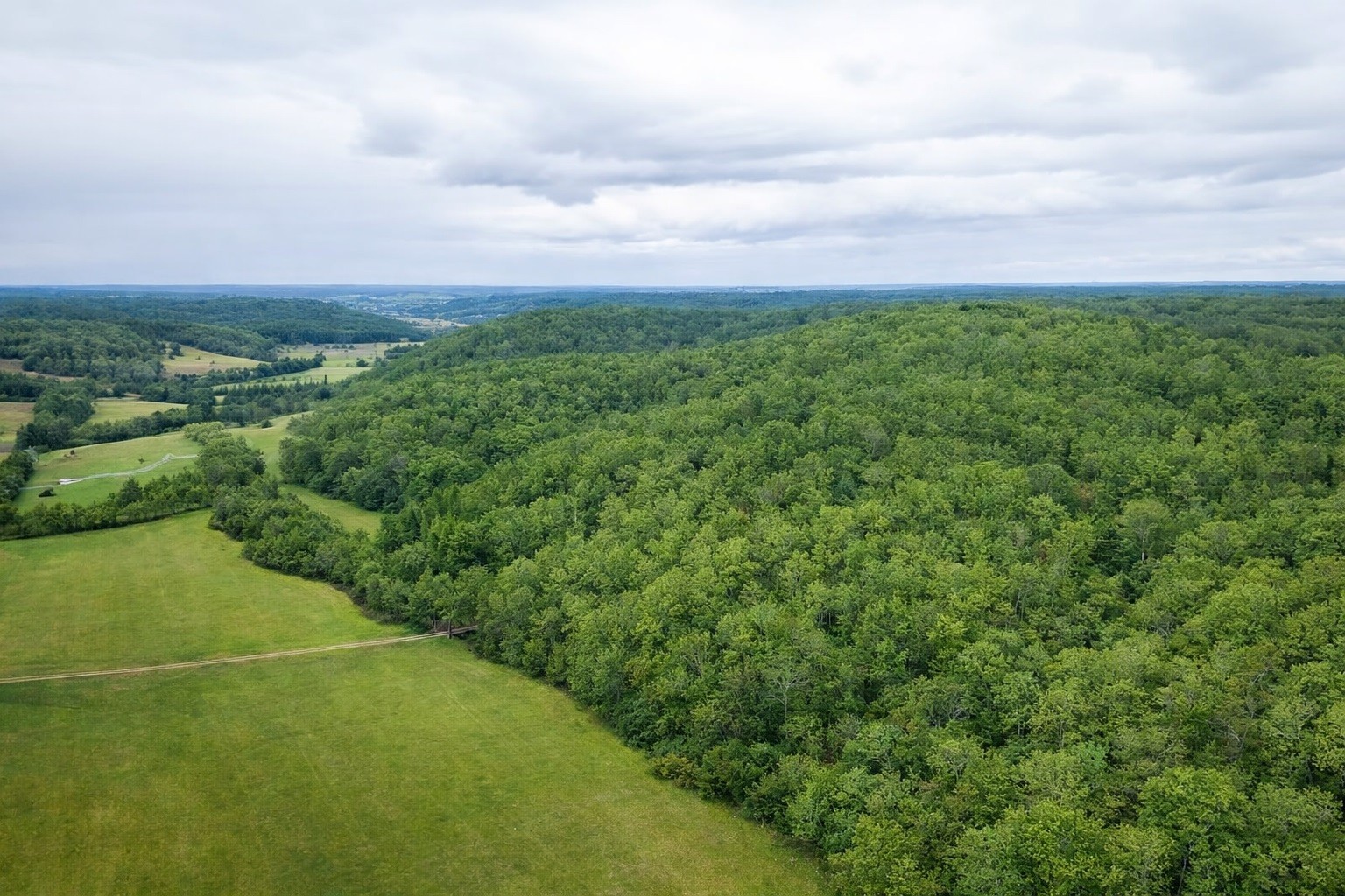 1783 Agnew Road Pulaski, TN 38478 - Photo 10 of 41