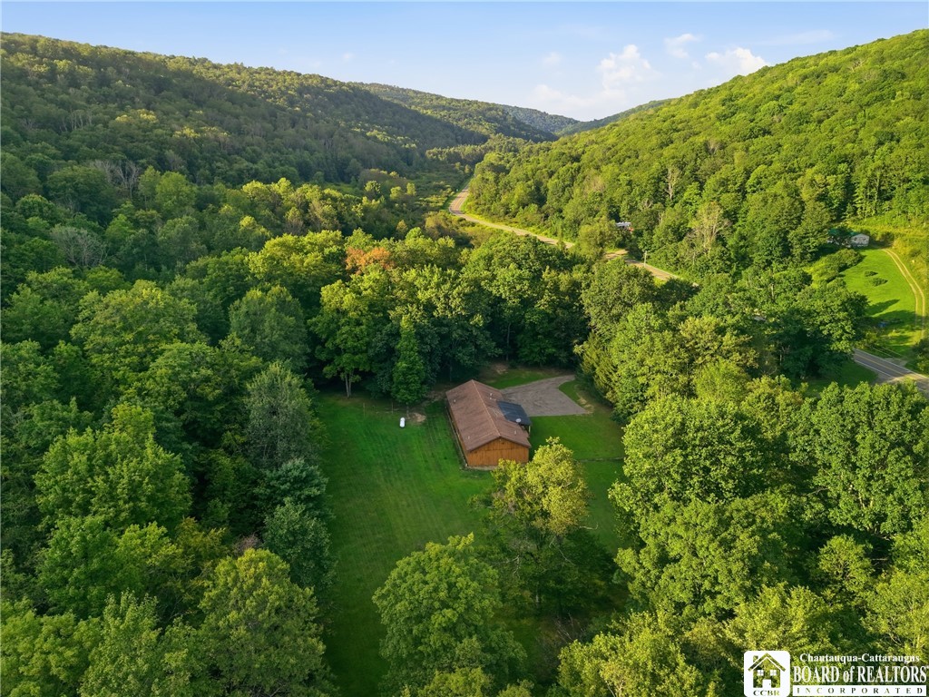4949 5 Mile Road Ischua, NY 14743 - Photo 44 of 50 Gallery Image 44