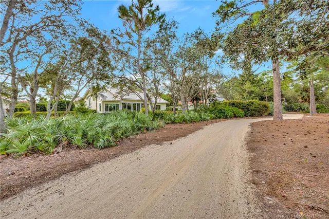 a view of a road with a trees