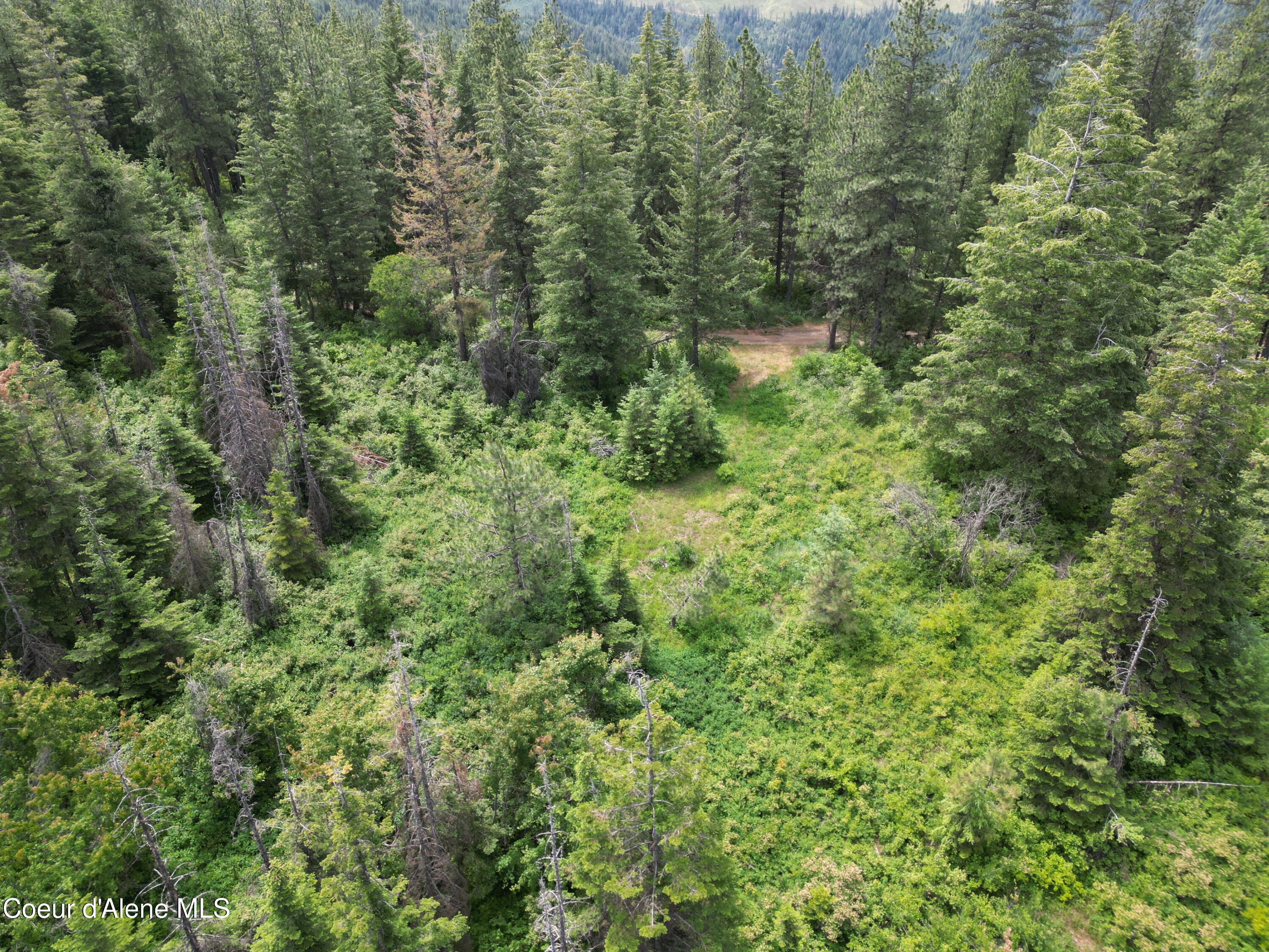 Nka Initial Peak Road Cataldo, ID 83810 - Photo 2 of 18 Ridge
