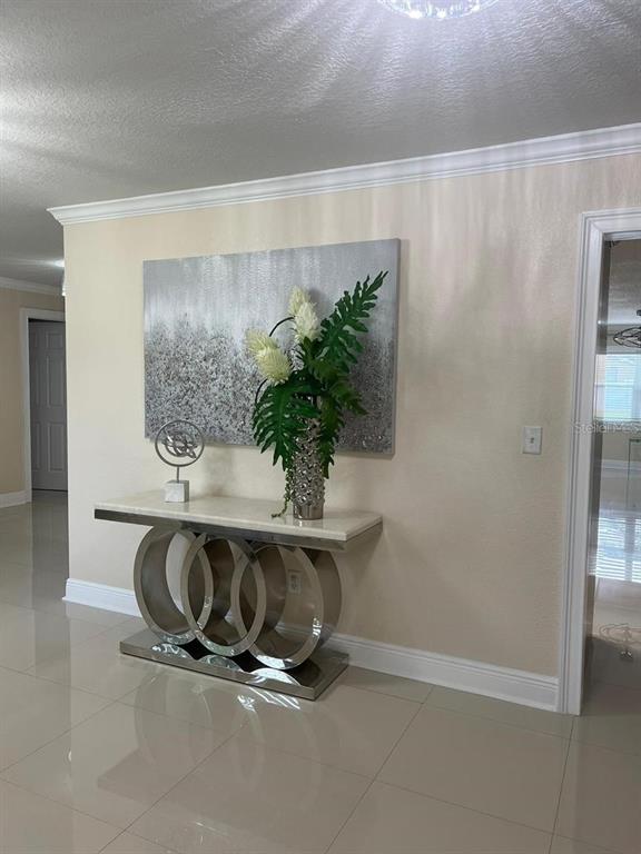 5602 Joyner Road Tampa, FL 33624 - Photo 25 of 28 a table with a potted plant