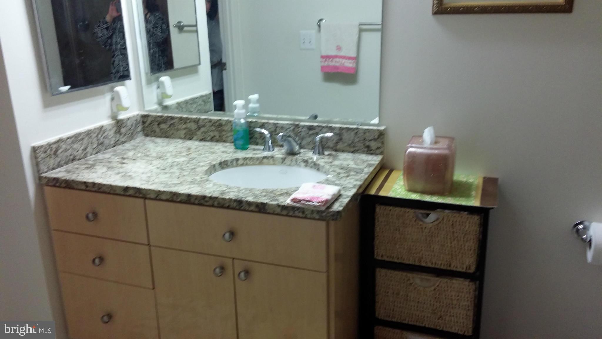11990 Market Street, Unit 208 Reston, VA 20190 - Photo 6 of 30 granite vanity