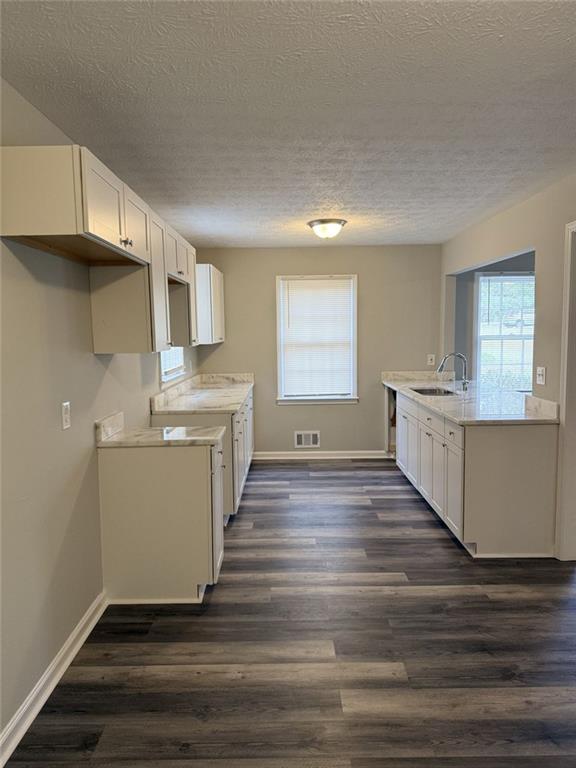 3990 Highway 92 Acworth, GA 30102 - Photo 12 of 26 a view of a kitchen with a sink cabinets and wooden floor