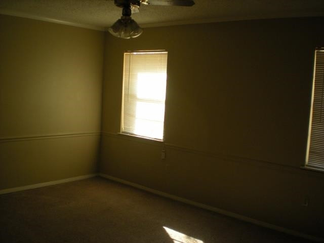 727 Green Forest Road Ridgeland, MS 39157 - Photo 6 of 12 Photo 6