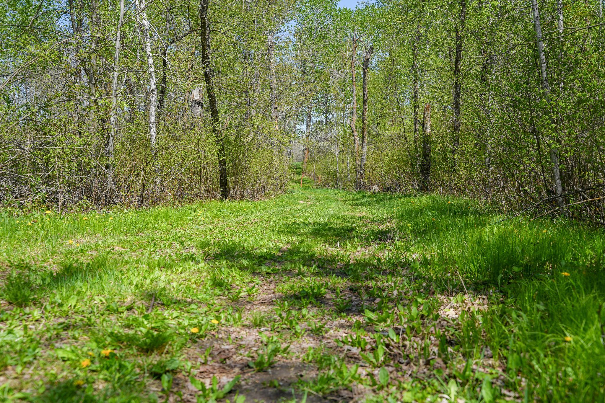 Tbd 140 Street Frazee, MN 56544 - Photo 80 of 149