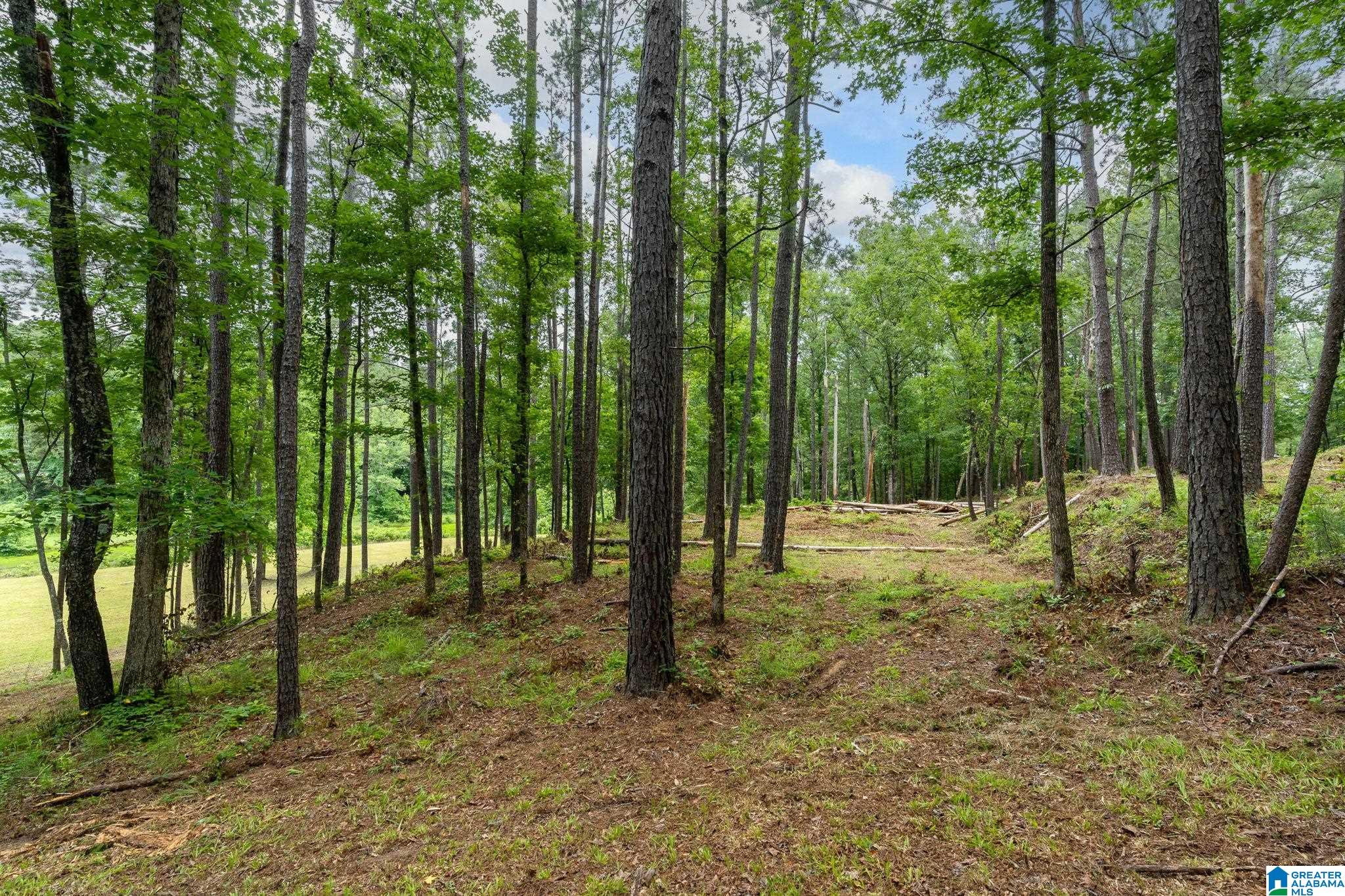 174 Martin Lane, Unit 1A Helena, AL 35080 - Photo 7 of 19