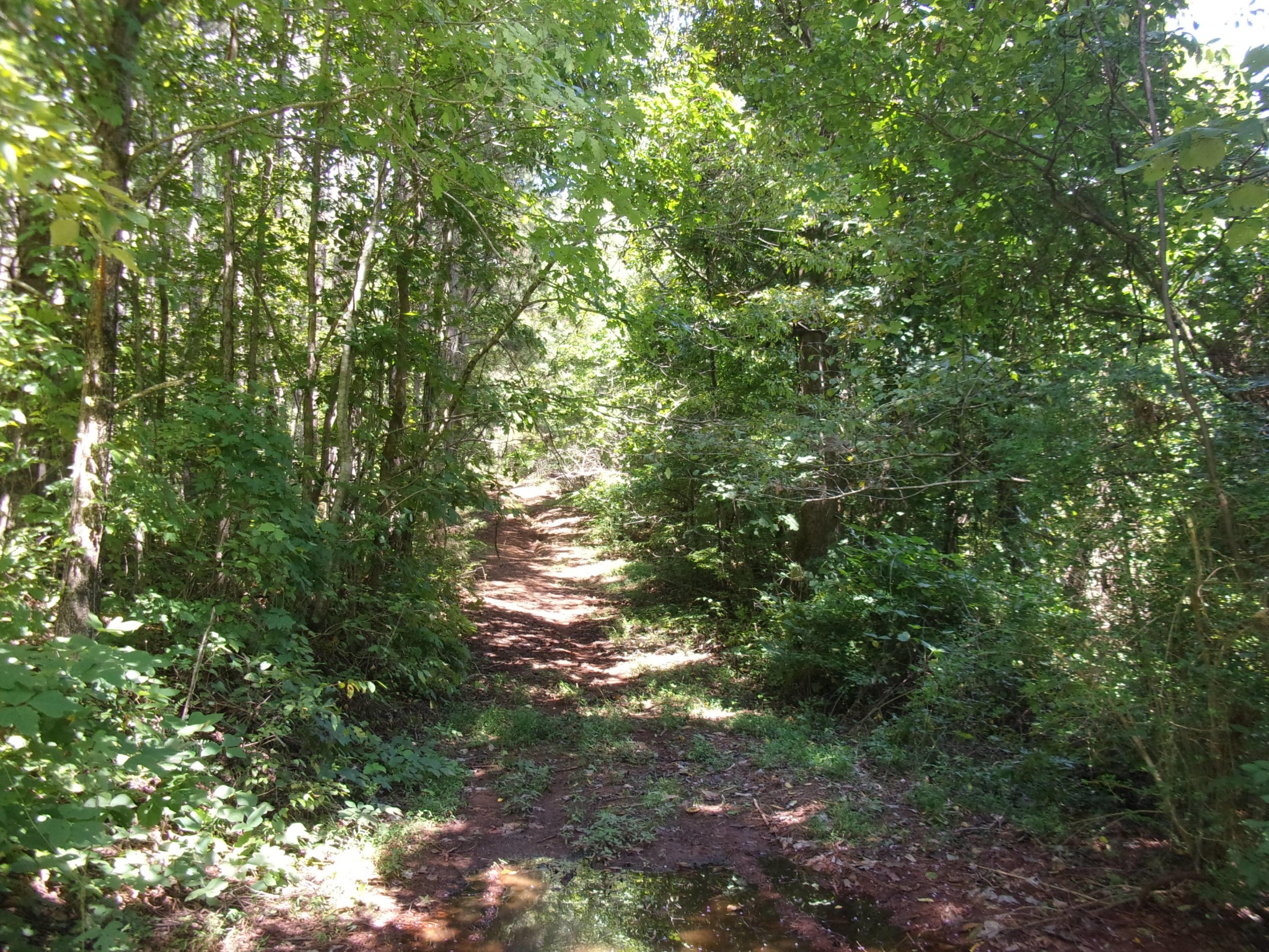 0 500 Anderson Road Sweetwater, TN 37874 - Photo 15 of 19 Gallery Image 15