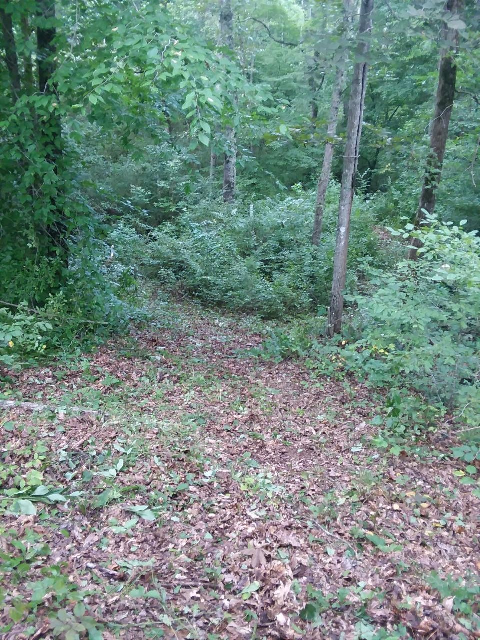 0 500 Anderson Road Sweetwater, TN 37874 - Photo 19 of 19 Gallery Image 19