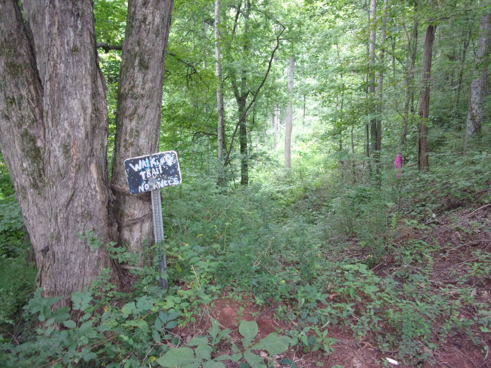 0 500 Anderson Road Sweetwater, TN 37874 - Photo 3 of 19 Gallery Image 3
