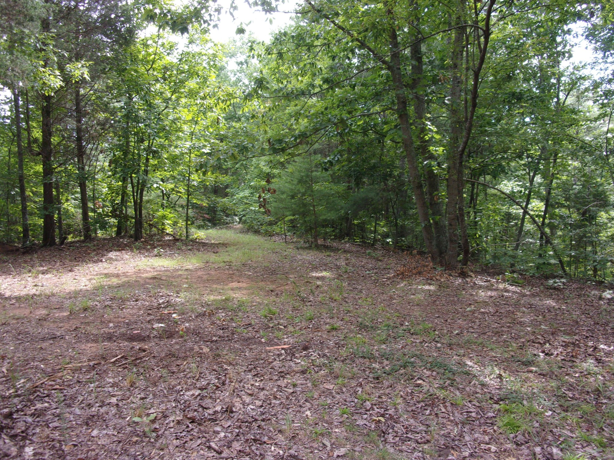 0 500 Anderson Road Sweetwater, TN 37874 - Photo 9 of 19 Gallery Image 9