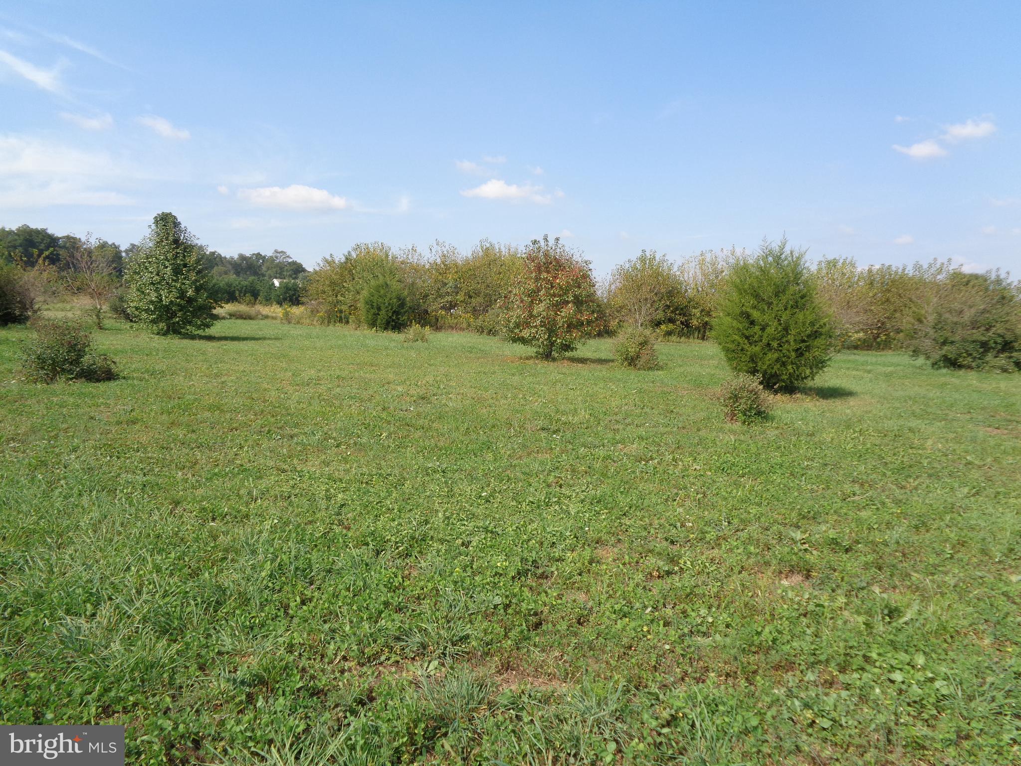14302 Fairview Road Clear Spring, MD 21722 - Photo 6 of 8 View