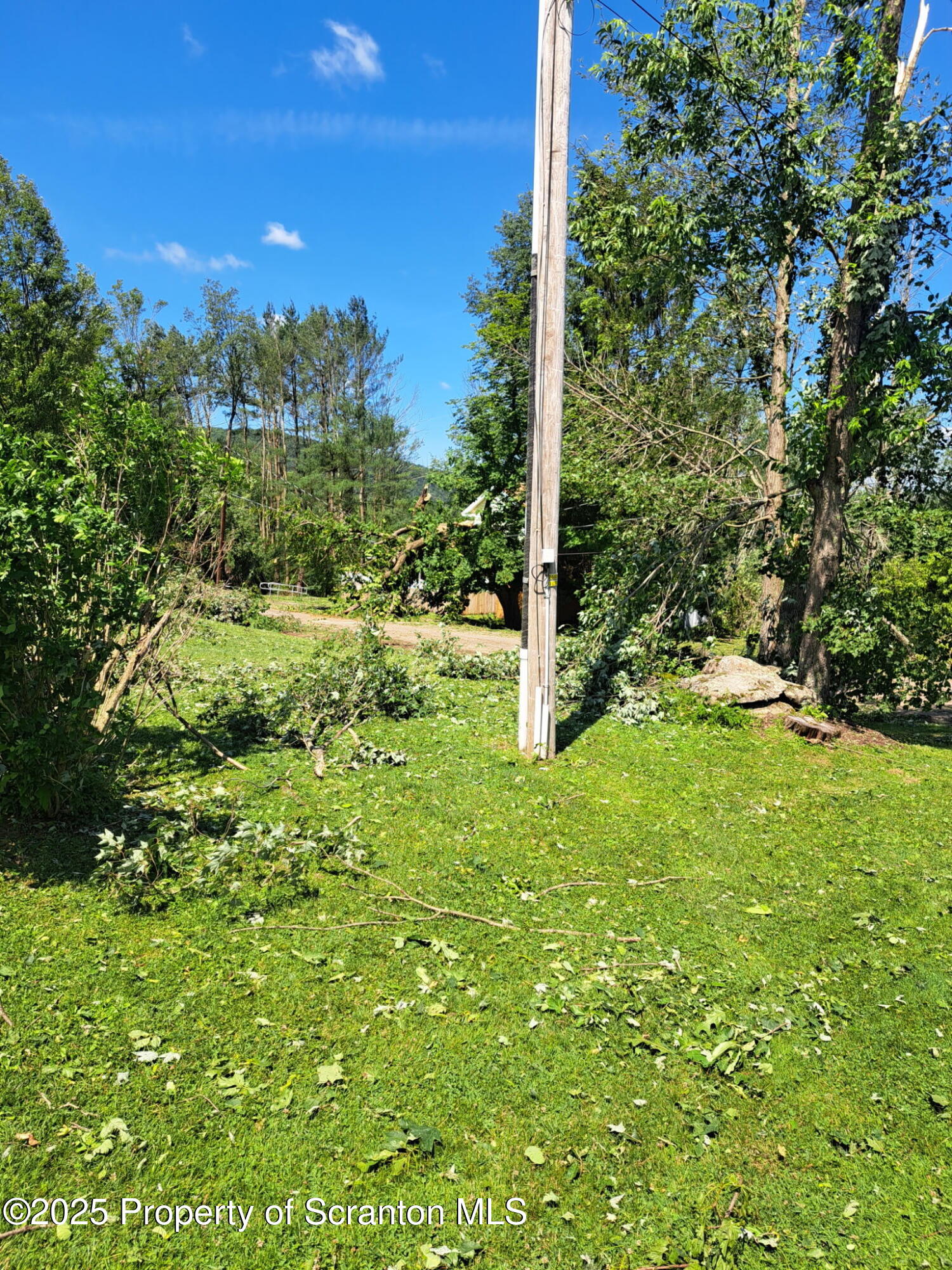 65 Reagan Road Brackney, PA 18812 - Photo 13 of 15 a view of a yard with a tree