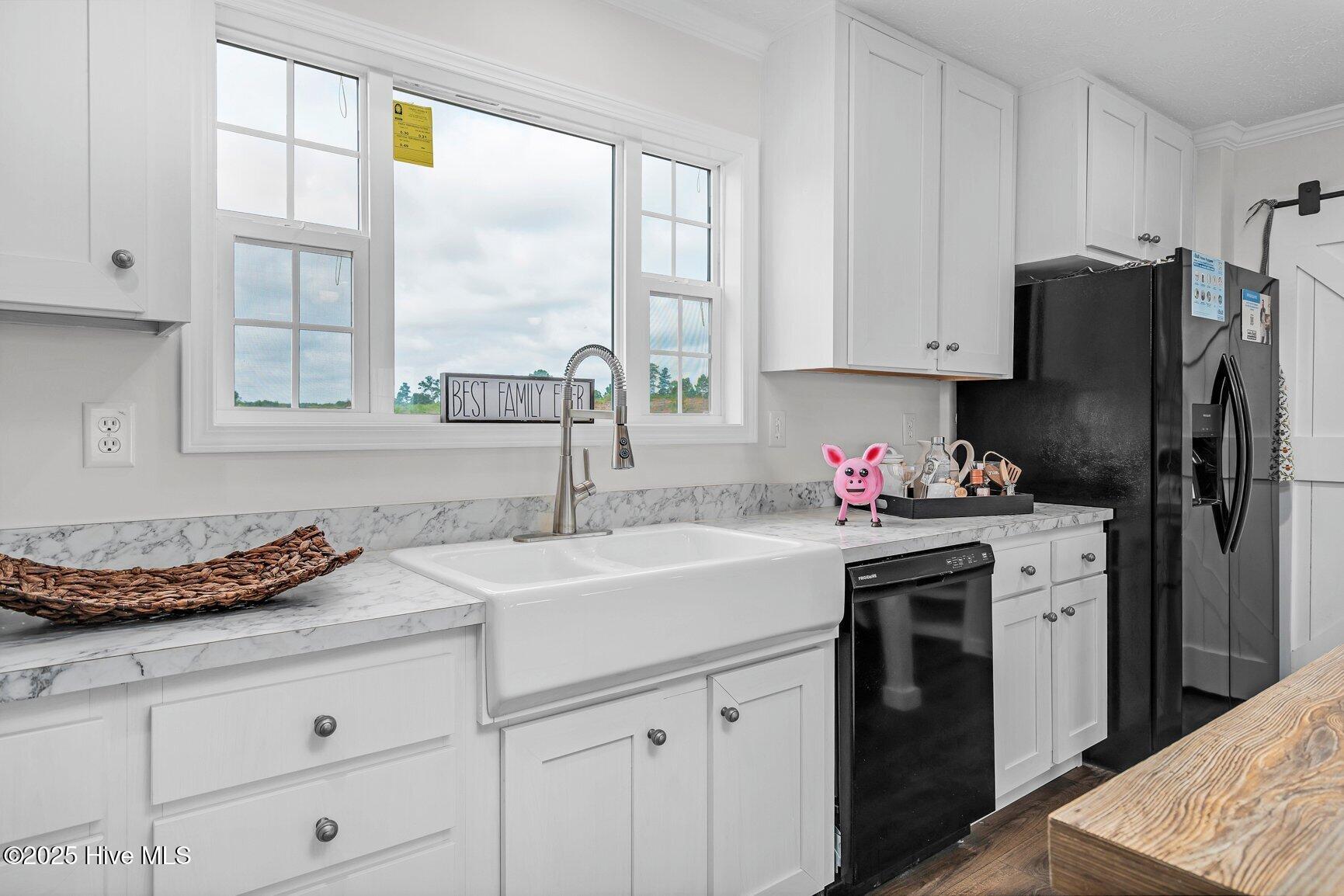 2839 Lonesome Pine Road Whitakers, NC 27891 - Photo 10 of 34 Amazing Kitchen