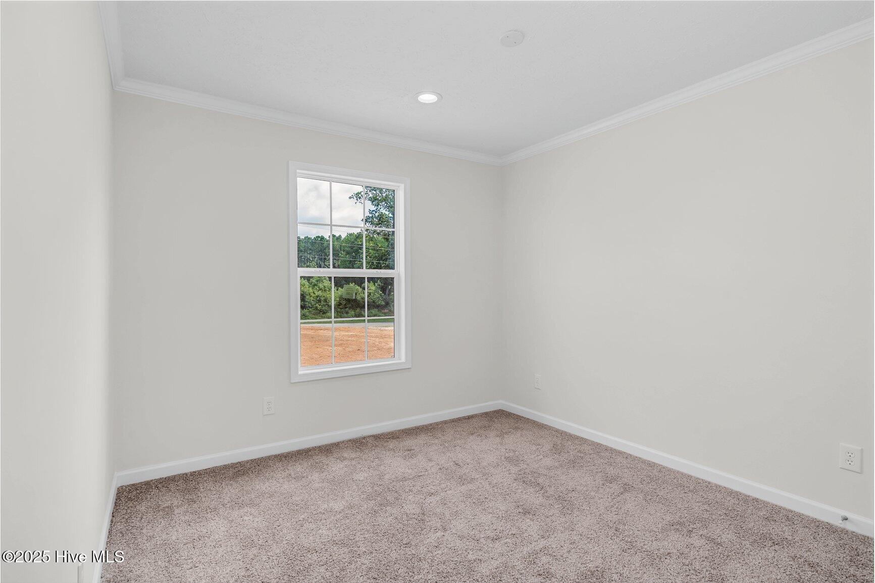 2839 Lonesome Pine Road Whitakers, NC 27891 - Photo 21 of 34 Bedroom 3