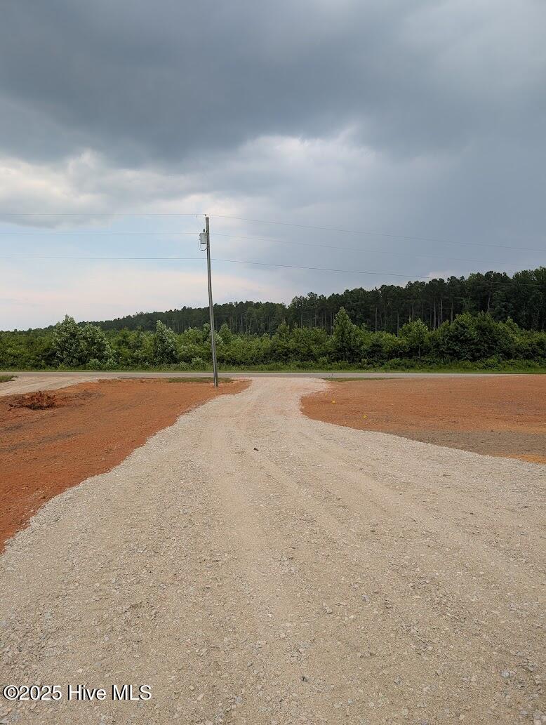 2839 Lonesome Pine Road Whitakers, NC 27891 - Photo 32 of 34 Driveway